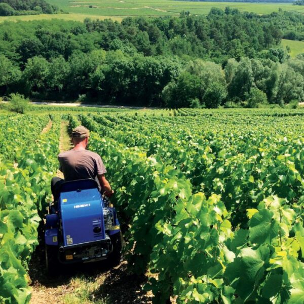 Débroussailleuse Iseki SR950 – Image 2